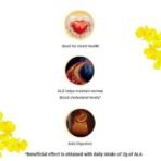 Dabur Cold Pressed Mustard Oil -3L | Healthy Cooking Oil | Goodness of Omega 3 & 6 | Perfect blend of Health, Taste & Aroma - Fast UK Delivery - Image 6