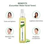 INDUS VALLEY Organic Ayurveda Fresh Aloe Vera & Cucumber Water Pore Tightening Skin Toner - (250ml) - Fast UK Delivery - Image 5