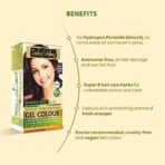 INDUS VALLEY Damage Free Natural Gel Hair Colour for Women | Ammonia & PPD Free Organic Hair Colour with 100% Grey Coverage, Long Lasting Conditioning Hair Color | Dark Brown 3.00-220 ml - Fast UK Delivery - Image 3