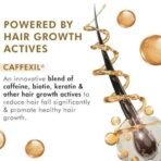 mCaffeine Advanced Hair Fall Control Caffexil Shampoo with Keratin, Biotin & Rosemary | 80% Hair Fall Control | Reduces Breakage & Thinning | Shampoo for Men & Women | Sulphate Free - 250 ML - Fast UK Delivery - Image 4