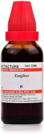 Dr. Willmar Schwabe India Zingiber (Zingiber officinale) Q 30 ML (Pcak of 3) - Fast UK Delivery
