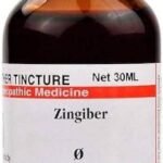 Dr. Willmar Schwabe India Zingiber (Zingiber officinale) Q 30 ML (Pcak of 3) - Fast UK Delivery