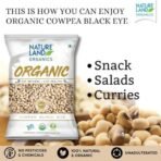 Natureland Organics Cowpea Black Eye / Lobia 500 Gm - Organic Healthy Pulses - Fast UK Delivery - Image 4