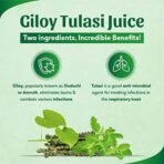 Sri Sri Tattva Giloy Tulsi Juice, 1L - Fast UK Delivery - Image 5