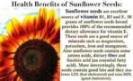 OrganoNutri Roasted Sunflower Seeds | Salted | Premium Roast | 900g - Fast UK Delivery - Image 7