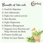 Nutriorg Tulsi Ark || Natural Immunity Boosting - 30 ml - Image 5