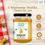 Natureland Organics Mango Jam 250 Gm - Healthy Organic Jams - Fast UK Delivery - Image 4