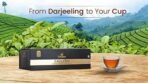 GOODRICKE Castleton Vintage Darjeeling Tea Bags - 100 Tea Bags, Single Estate Premium Tea, Darjeeling Black Tea Bags, 180 Gram - Fast UK Delivery - Image 4