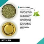 TEACURRY Nettle Leaves Tea (50 Grams, 100 Cups) -Helps with Kidney Detox, Blood Sugar, Blood Purify - Canadian Nettle - Fast UK Delivery - Image 3