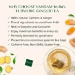 VAHDAM, Turmeric Ginger Tea Bags (50 Herbal Tea Bags) Caffeine Free, Non GMO, Gluten Free | 100% Pure Turmeric Tea with Ginger - Savory & Spicy | Plant based Pyramid Tea Bags | Direct from Source - Fast UK Delivery - Image 3