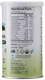 Organic India Wheat Grass - 100 g, Boost Stamina powder - Image 3