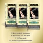 INDUS VALLEY 100% Botanical Organic Hair Color (Indus Black)- 120g*3=360g - Fast UK Delivery - Image 3