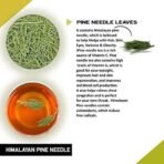 TEACURRY Himalayan Pine Green Tea(1 Month Pack|30 Tea Bags)-Helps With Hair, Skin, Eyes, Varicose & Obesity|Himalayan Pine Needle Tea,100 Grams - Fast UK Delivery - Image 3