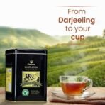 GOODRICKE Castleton Vintage Darjeeling Tea - 100gm (Pack of 1) | Single Estate Whole Leaf Chai | 100% Organic & Natural Loose Leaves Tea | Premium Black Tea with Rich Taste & Aroma - Fast UK Delivery - Image 4