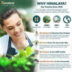 Himalaya Wellness Pure Herbs Amalaki Immunity Wellness |Promotes health | -Pack of 60 Tablets - Image 4