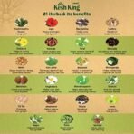Kesh King Ayurvedic Anti Hairfall Hair Oil, 300ml & Kesh King Scalp and Hair Medicine Anti-Hairfall Conditioner, 200 ml - Fast UK Delivery - Image 4