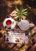 Goodwyn English Breakfast, 100 Tea Bags - Fast UK Delivery - Image 6