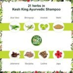 Kesh King Ayurvedic Anti Hairfall Shampoo| Reduces hairfall | 21 Natural Ingredients |No Paraben & No Silicon | With the goodness of Aloe Vera, Bhringraja and Amla for Silky, Shiney - 600 ml - Fast UK Delivery - Image 6