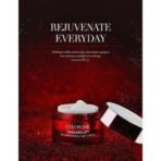 Colorbar Cosmetics Timeless Lift Miracle Lifting Day Cr?me, 25 g | Nourishing day creme | SPF 15 protects against harmful sun damage | Dermatologically tested - Fast UK Delivery - Image 4