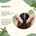 Organic Bites Brahmi and Bhringraj Powde, Eclipta Alba, Bacopa Monnieri for Hair, Skin, Eating (Bramini, Brahmi, Bhrami, Bharmi, Bringraj, Bringaraja) - 50 gm each (Total - 100 gm) - Image 3