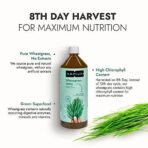 Kapiva Wheatgrass Juice, 1 L & Kapiva Karela Jamun Juice | Helps Control Blood Sugar Level and Lower Bad Cholesterol | Diabetic Care (1L) - Fast UK Delivery - Image 4