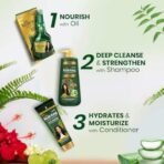 Kesh King Ayurvedic Anti-Hairfall Shampoo | Reduces hairfall | 21 Ayurvedic herbs | No Paraben & No Silicon | Enriched with Aloe Vera, Bhringraja & Amla | 1000 ml - Fast UK Delivery - Image 5