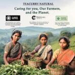 Teacurry Energy Tea (1 Month Pack | 30 Tea Bags) - Blend of Herbs for Energy | Get a Refreshing Start to your Mornings - Fast UK Delivery - Image 6