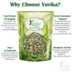 YUVIKA Berge Suddav - Burge Suddab - Berge Sudab - Ruta Graveolens - Garden Rue (100 Grams), M_YUVI0489_100GM - Fast UK Delivery - Image 4