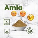 nutriorg Organic Fresh Amla Powder (Pack Of 3)|Indian Gooseberry|Goodness Of Vitamin C,300 Grams - Image 6