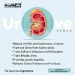 Healthally Ayurvedic Uriactive Kidney Health,Renal Care Syrup|Kidney Detox|Stone/Pathari Remover|Varunchaal Gokhru Punarva Patharchur Syrup For Kidney Wellness - 500 ML - Fast UK Delivery - Image 6