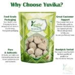 Yuvika Ber Pathar | Hajrul Yahood | Sange Yahood | Bhasma Badarashma - Fossil Encrinite (100 GM) - Fast UK Delivery - Image 4