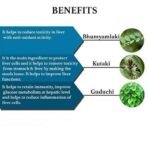 Bixa Botanical Liverix 60 Veg Capsules (450 Mg) Supports Liver Wellness & Overall Immunity Health With Bhumi Amla & Kutki Extract- Pure Herbs Detoxifier Herbal Supplements - Image 5