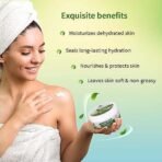 Ayouthveda Moringa Body Yogurt | Instant & Deep Hydrating Moisturizer For Daily use | Non Greasy Formula | Helps to Improve Skin Tone & Repair Skin Damages (Pack of 200gm) - Fast UK Delivery - Image 5