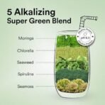 Wellbeing Nutrition Organic Vegan Plant Protein Isolate Powder | 22g Protein, 5g BCAA | Complete Amino Acid Profile | Prebiotics & 3B CFU Probiotics | No Bloating | Easy to Digest | Trace Minerals & Alkalizing Greens | French Vanilla Caramel- 500gm - Image 6