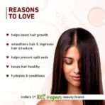 Plum Hibiscus & Ceramides Shampoo for Hair Growth | Provides Silky, Smooth & Long Hair | Repair Split End | Paraben Free shampoo for Women & Men | for All Hair Types | Safe for Daily Use | 250ml - Fast UK Delivery - Image 3