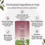 WELLBEING NUTRITION Slim Tea|Sliming Tea For Weight Management|Improves Metabolism, Satiety & Detox|Jasmine Green Tea, Garcinia Cambogia, Green Coffee Beans (40 Pyramid Tea Bags) - 40 Gram - Image 3
