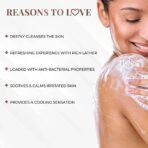 Just Herbs Deep Cleansing Cooling Body Wash with Mint and Activated Charcoal for Men and Women 300 ml - Fast UK Delivery - Image 7