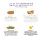 Wellbeing Nutrition melts Her Desire | Libifem, L-Arginine, Ashwagandha & Vitamin E | Increase Drive and Energy in Women (60 Oral Strips) - Image 4