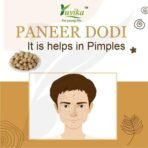 YUVIKA Paneer Dodi - Paneer Ke Phool - Withania Coagulan - Fast UK Delivery - Image 5