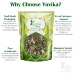 YUVIKA Bansa Hara - Adusa - Adoosa - Vasa - Adhatoda vasica Nees - Malabar Nut Tree (200 Grams) - Fast UK Delivery - Image 4