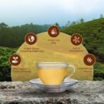 GOODRICKE Barnesbeg Organic Darjeeling Green Tea - 25 Tea Bags, (Pack of 2) | 100% Organic & Natural Premium Loose Leaves | Herbal Tea - Fast UK Delivery - Image 5