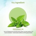 Ayouthveda Peppermint Essential Oil for Skin & Hair | Aromatherapy Kit for Stress Relief & Relaxation | 100% Pure & Natural Therapeutic Grade |Can Be Used as Air purifier (Pack Of 1; 15ml) - Fast UK Delivery - Image 6