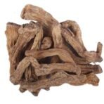 YUVIKA Shakakul Mishri - Shakakul Musli - Trachydium Lehmanni - Yellow Musli (100 Grams) - Fast UK Delivery - Image 3