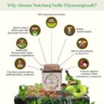 Nutriorg Vedic Chyawanprash 500g (Get Free 50g Organic Honey) | Made with 49 Ayurvedic Herbs & 5 Key Ingredients | Boosts Immunity, Digestion, and Energy | Rich in Antioxidants & Vitamin C | Supports Liver Health, Detox & Calcium Absorption | Daily Ayurvedic Supplement for Overall Health - Image 6