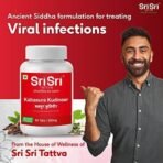 Sri Sri TATTVA shuddhta ka naam Kabasura Kudineer, 60 Tabs | 500mg (Pack of 2) - Image 3