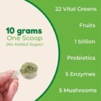 Rooted Actives Super Greens Ultimate Health Powder | 22 vital greens & Fruits, 1 billion probiotics, 5 Enzymes, 5 Mushrooms (No Added Sugar) | Supports Gut Health, Energy, Immunity - 250 Grams - Fast UK Delivery - Image 7
