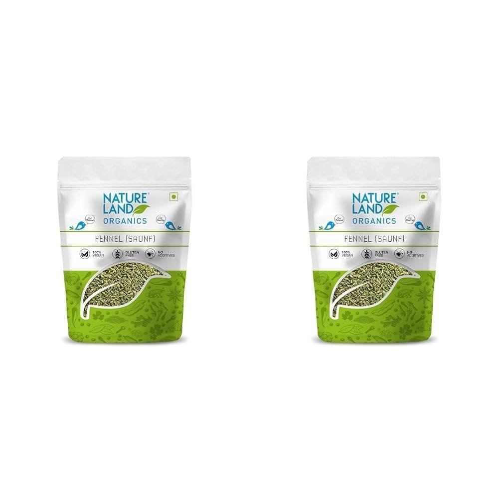 uk51F3AgdUVL-1.jpg Natureland Organics Fennel (Saunf) 100 gm - Organic Saunf (Pack of 2) - Fast UK Delivery - Image 1