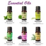 INDUS VALLEY 100% Pure Essential Oils Gift Pack - Peppermint oil,Lemongrass oil, Rosemary oil,Lavender oil,Eucalyptus oil,Tea Tree oil - 10ml * 6=60ml (Pack of 6) - Fast UK Delivery - Image 3