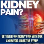 Healthally Ayurvedic Uriactive Kidney Health,Renal Care Syrup|Kidney Detox|Stone/Pathari Remover|Varunchaal Gokhru Punarva Patharchur Syrup For Kidney Wellness - 500 ML - Fast UK Delivery - Image 3