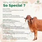 Yugmantra Organic Foods 100% Pure Natural Desi Gir Cow Ghee (500 ml x 2 = 1 litre) in Glass Bottle Prepared from A2 Milk Bilona Method-Immunity Superfood Helps Reduces Joint - Fast UK Delivery - Image 6
